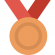 bronze-medal bronze-medal